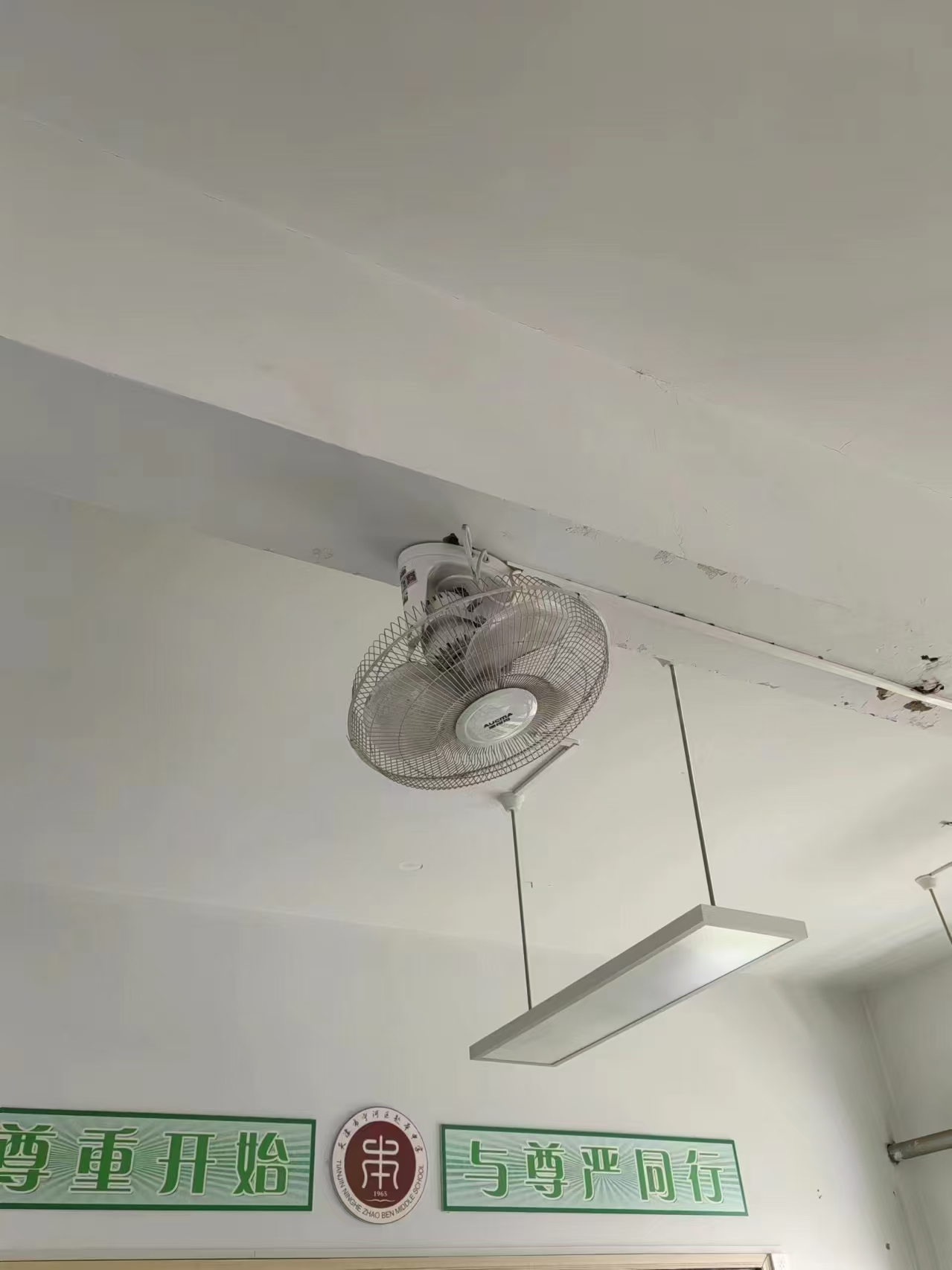 楼顶扇