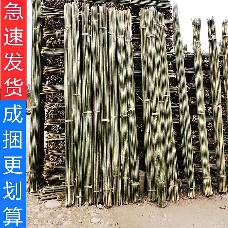 6cm竹竿